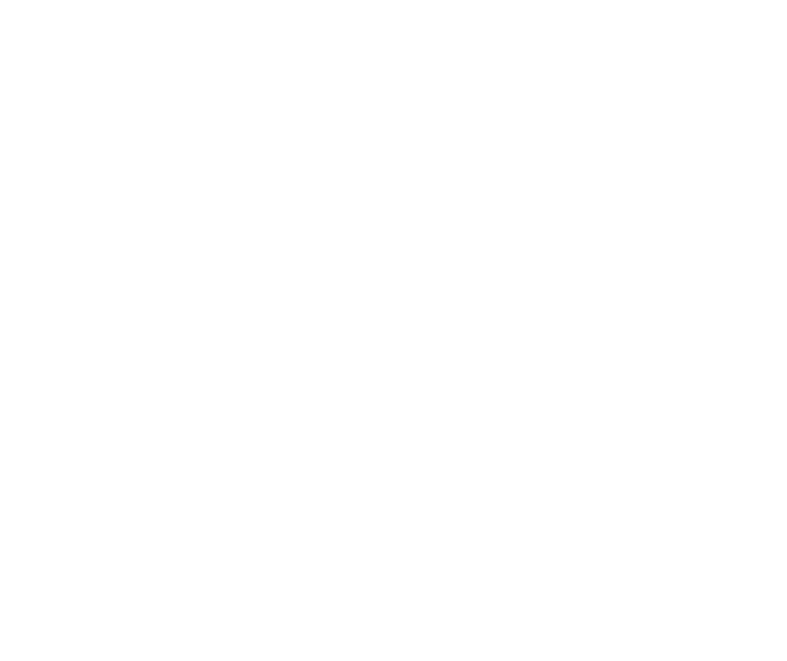 Next Level Basketball