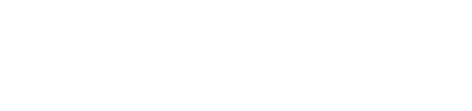 Palm City